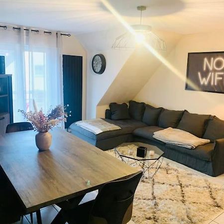 Charmant Appartement 2 Pieces Mundolsheim Luaran gambar