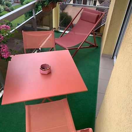 Charmant Appartement 2 Pieces Mundolsheim Luaran gambar