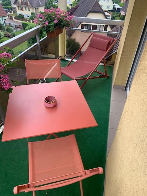 Charmant Appartement 2 Pieces Mundolsheim Luaran gambar